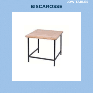 BISCAROSSE