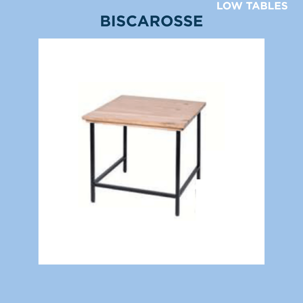 BISCAROSSE